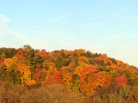 13237PaCrLeSh - Autumn colours in Rouge Valley Conservation Area.JPG